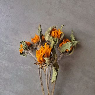 Sunflowers - bunch of 5 -OUT OF STOCK