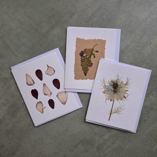 Pack of three cards with pressed flowers and leaves